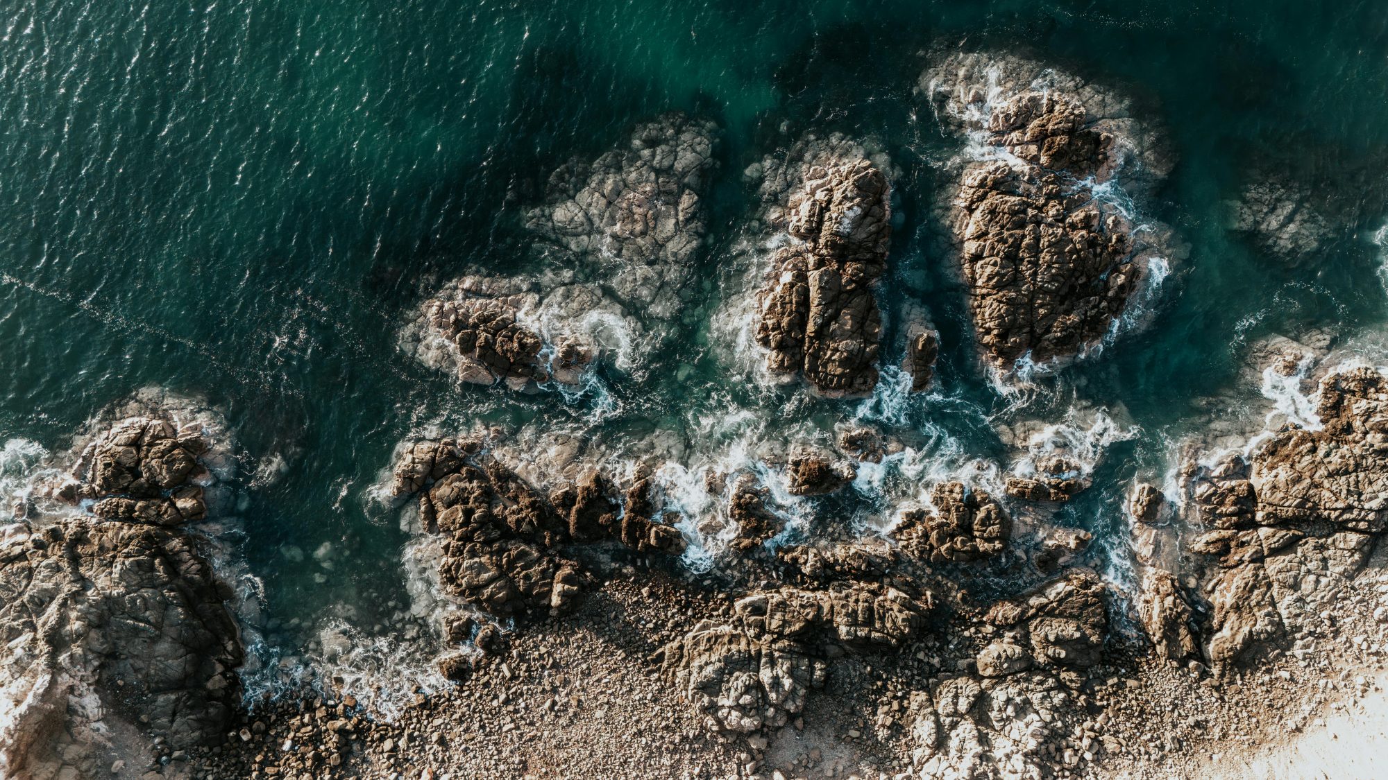Download the AI Briefing #01 – AI Governance
