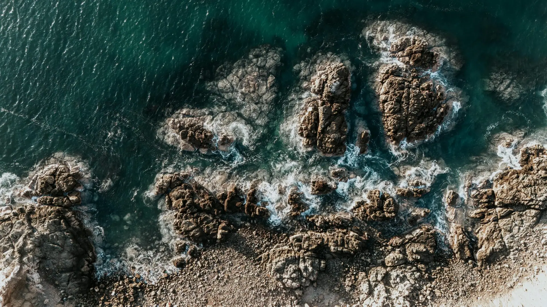 Download the AI Briefing #01 – AI Governance - Customer Engagement for the AI Era Download the AI Briefing #01 – AI Governance